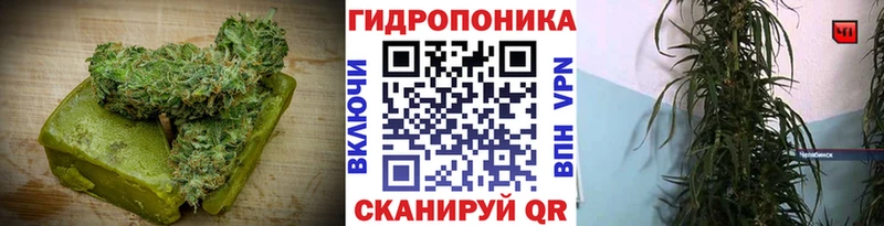 Cannafood конопля  Купить  Алдан 